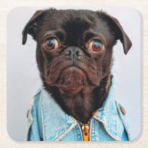 Porta-copo De Papel Quadrado Pug in Denim Jackey Cachorro Adorável