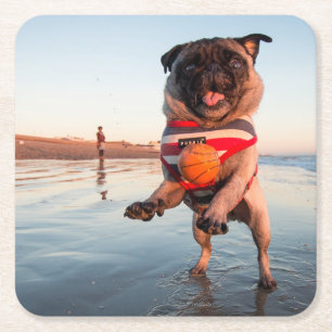 Porta-copo De Papel Quadrado Pug Playing Ball on Beach
