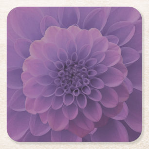 Porta-copo De Papel Quadrado Purple Dahlia