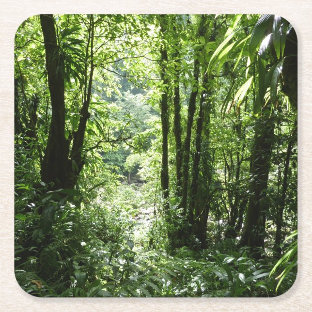 Porta-copo De Papel Quadrado Rain Forest II Tropical Verde (Frente)