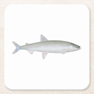 Porta-copo De Papel Quadrado Rainbow Smelt