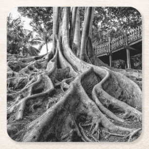 Porta-copo De Papel Quadrado Raízes maciças de seringueira