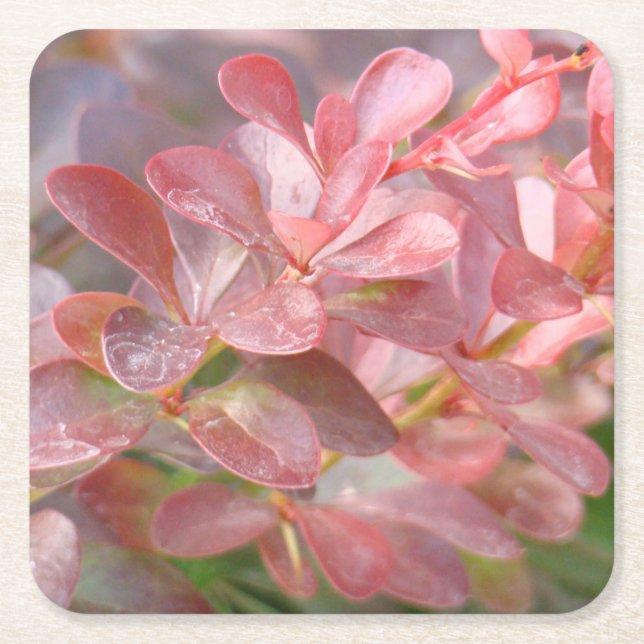 Porta-copo De Papel Quadrado Ramificações bonito rosa (Frente)