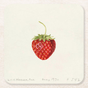 Porta-copo De Papel Quadrado Red Strawberry (por Louis C.C. Krieger)