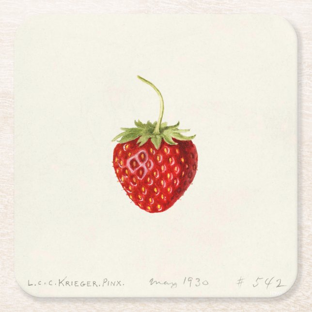 Porta-copo De Papel Quadrado Red Strawberry (por Louis C.C. Krieger) (Frente)