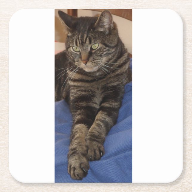 Porta-copo De Papel Quadrado Regal Dave Custom Costers (Frente)