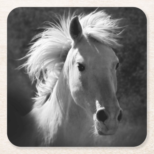 Porta-copo De Papel Quadrado Retrato Cavalo V (Frente)