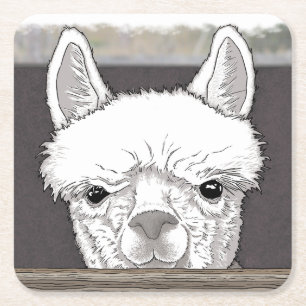 Porta-copo De Papel Quadrado Retrato de Alpaca