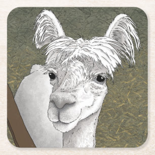 Porta-copo De Papel Quadrado Retrato de Alpaca 2