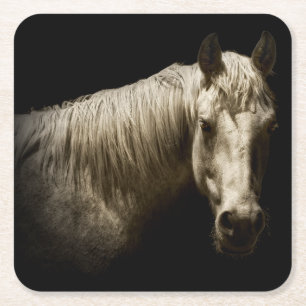 Porta-copo De Papel Quadrado Retrato de Cavalo VI