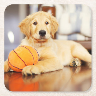 Porta-copo De Papel Quadrado Retriever Ouro Com Brinquedo De Basquete