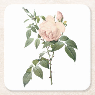 Porta-copo De Papel Quadrado rosa de chá perfumado por Redouté