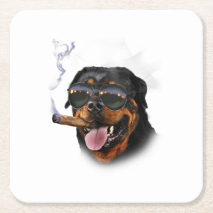 Porta-copo De Papel Quadrado Rottweiler com vidro solar do aviador que veste ch