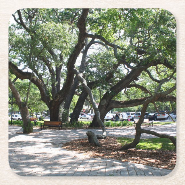 Porta-copo De Papel Quadrado Rua Simons Island GA Wandering Oak Photo (Frente)