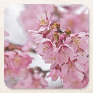 Porta-copo De Papel Quadrado Sakura Cherry Blossoms Rosa Pálido