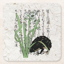 Sapo Toad Botânico Japonês do Século XVIII