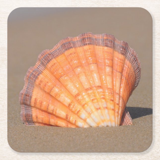 Porta-copo De Papel Quadrado Scallop Shell| Crete, piscina (Frente)