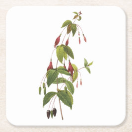 Porta-copo De Papel Quadrado scarlet fuchsia (Fuchsia coccinea) por Redouté