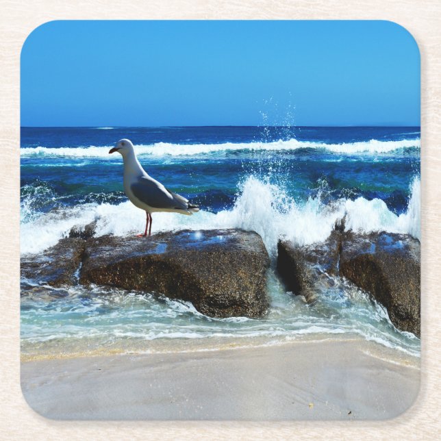 Porta-copo De Papel Quadrado Seagull Em Beach Rocks, (Frente)