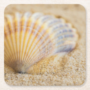 Porta-copo De Papel Quadrado Seashell doce