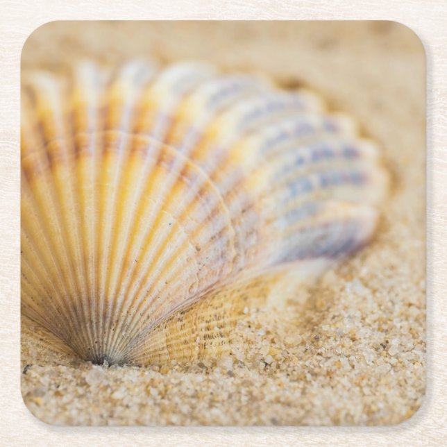Porta-copo De Papel Quadrado Seashell doce (Frente)