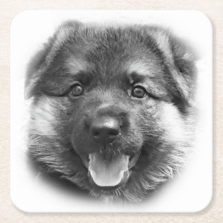 PORTA-COPO DE PAPEL QUADRADO SEJA COMO BONK!