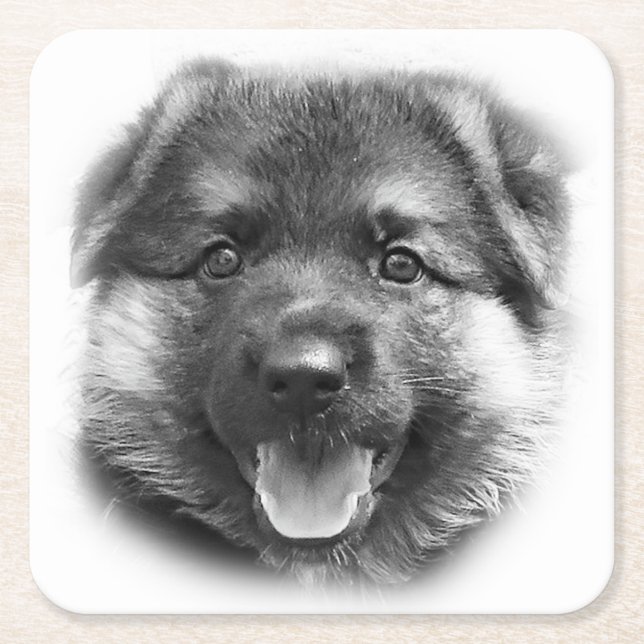 PORTA-COPO DE PAPEL QUADRADO SEJA COMO BONK! (Frente)