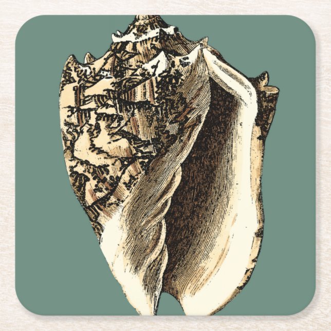 Porta-copo De Papel Quadrado Shell Teal Conch (Frente)