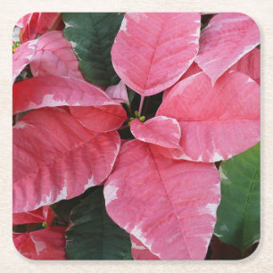 Porta-copo De Papel Quadrado Silver Star Marble Poinsettias Feriado Rosa Floral