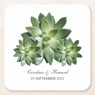 Porta-copo De Papel Quadrado Simples Portas copos De Papel De Casamento Suculen