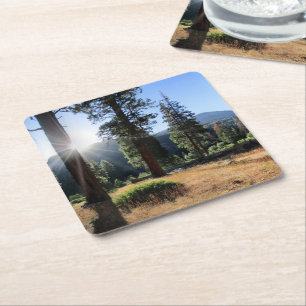 Porta-copo De Papel Quadrado Simpson Meadow - Sierra
