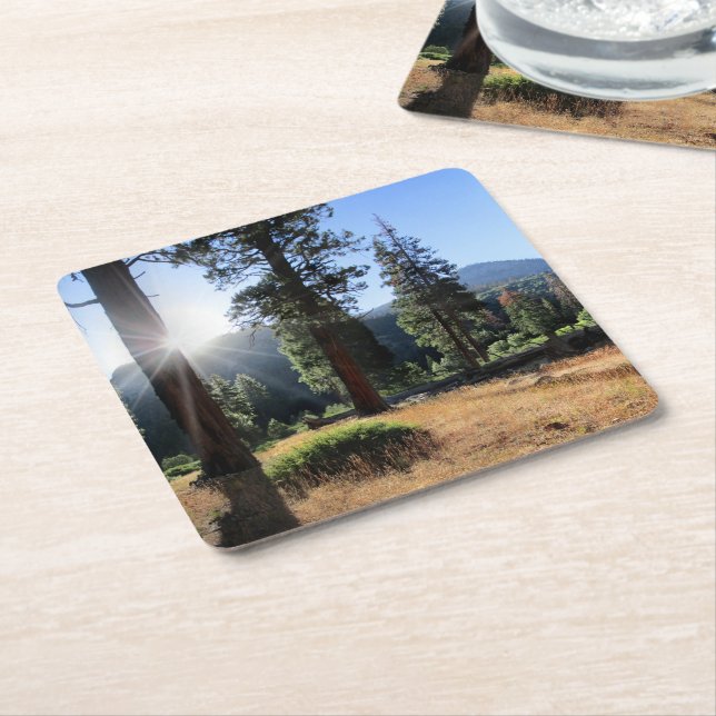 Porta-copo De Papel Quadrado Simpson Meadow - Sierra (Inclinado)