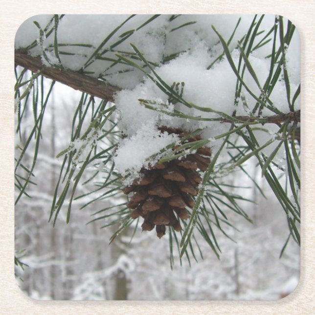 Porta-copo De Papel Quadrado Snowy Pine Branch Winter Nature Fotografia (Frente)