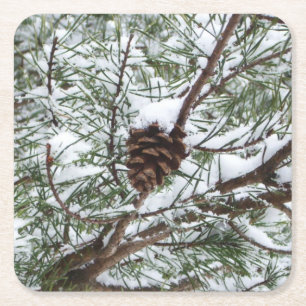 Porta-copo De Papel Quadrado Snowy Pine Cone II Fotografia de inverno