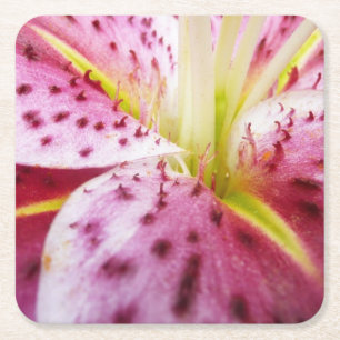 Porta-copo De Papel Quadrado Stargazer Lily Bright Magenta Floral