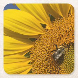 Porta-copo De Papel Quadrado Sunflower Photo Summer Bee Botanical