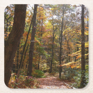 Porta-copo De Papel Quadrado Sunlit Fall Trail no Parque Estadual de Laurel Hil