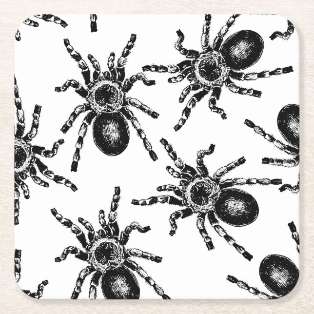 Porta-copo De Papel Quadrado Tarantula (Frente)