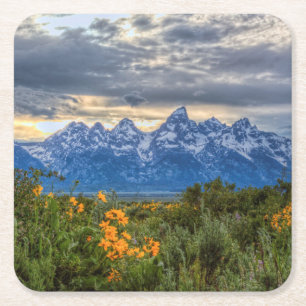 Porta-copo De Papel Quadrado Tetons grande