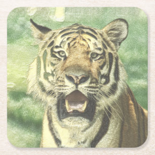 Porta-copo De Papel Quadrado tigre metálico
