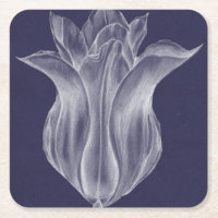 Tulipa monocromática III