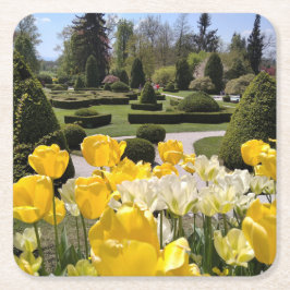 Porta-copo De Papel Quadrado Tulipas Amarelas de Arboretum Volcji Potok Eslovên