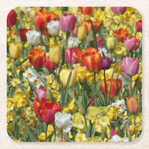 Porta-copo De Papel Quadrado Tulipas e Daffodils Coloridos Flores de Papel Port