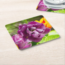 Tulipas lilás num dia ensolarado