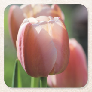 Porta-copo De Papel Quadrado Tulipas Rosa