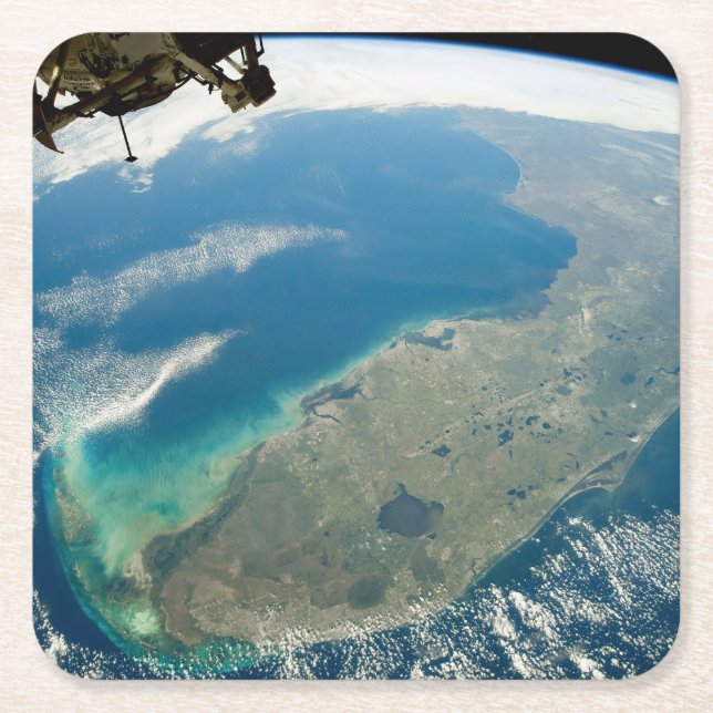 Porta-copo De Papel Quadrado Uma Flórida Oblíqua, Na Costa Sudeste (Frente)