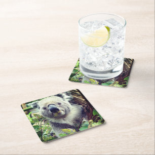 Porta-copo De Papel Quadrado Urso Koala