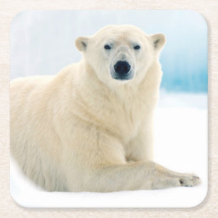 Porta-copo De Papel Quadrado Urso polar adulto grande javali no gelo de verão