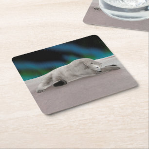 Porta-copo De Papel Quadrado Urso Polar Descansando