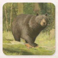 Urso Preto a Passar num Tronco de Árvore